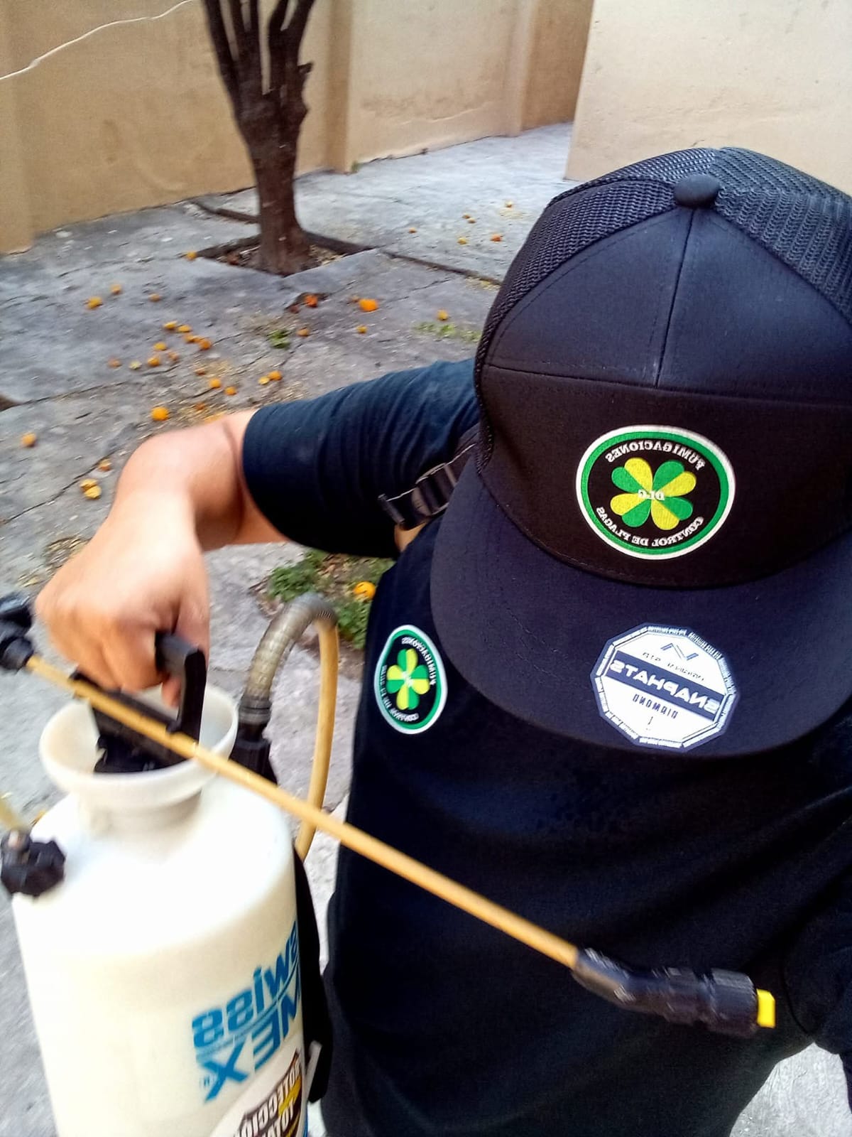 Aplicación de servicio de fumigación