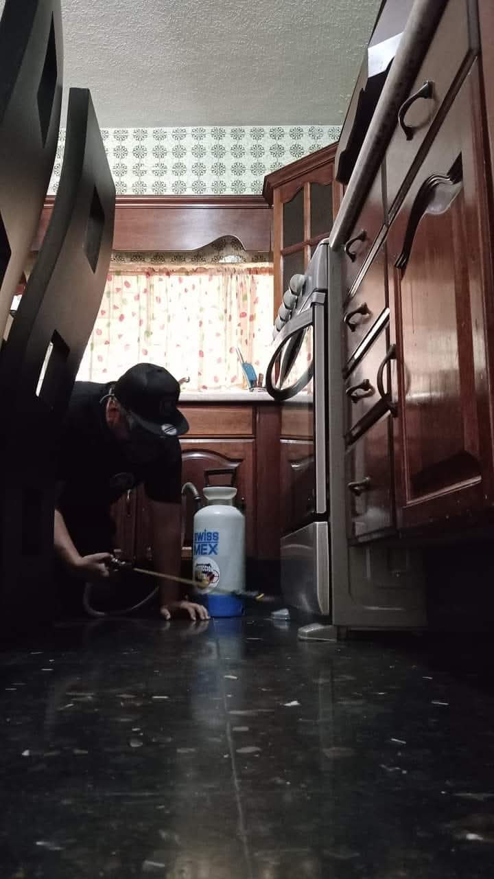 Servicio de fumigación en área interior